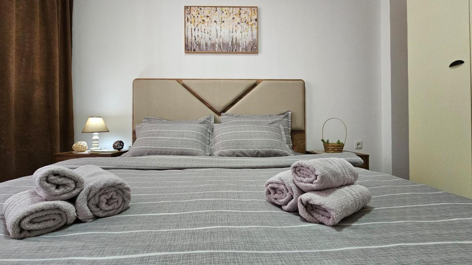 Superb 1 Bedroom In The Best Zone Of The City. Ferizaj Exteriör bild