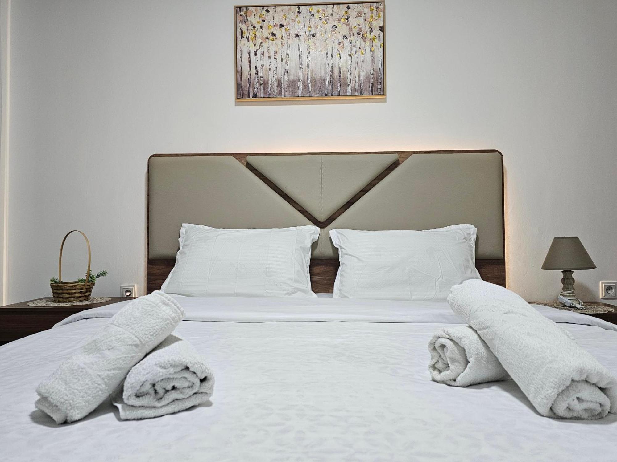 Superb 1 Bedroom In The Best Zone Of The City. Ferizaj Exteriör bild